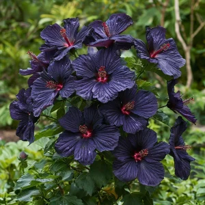 Гибискус Мэджик Момент купить по цене от 699р. в интернет-магазине «Посадика» с доставкой почтой в в Кедровыйе и по всей России – [изображение №1].